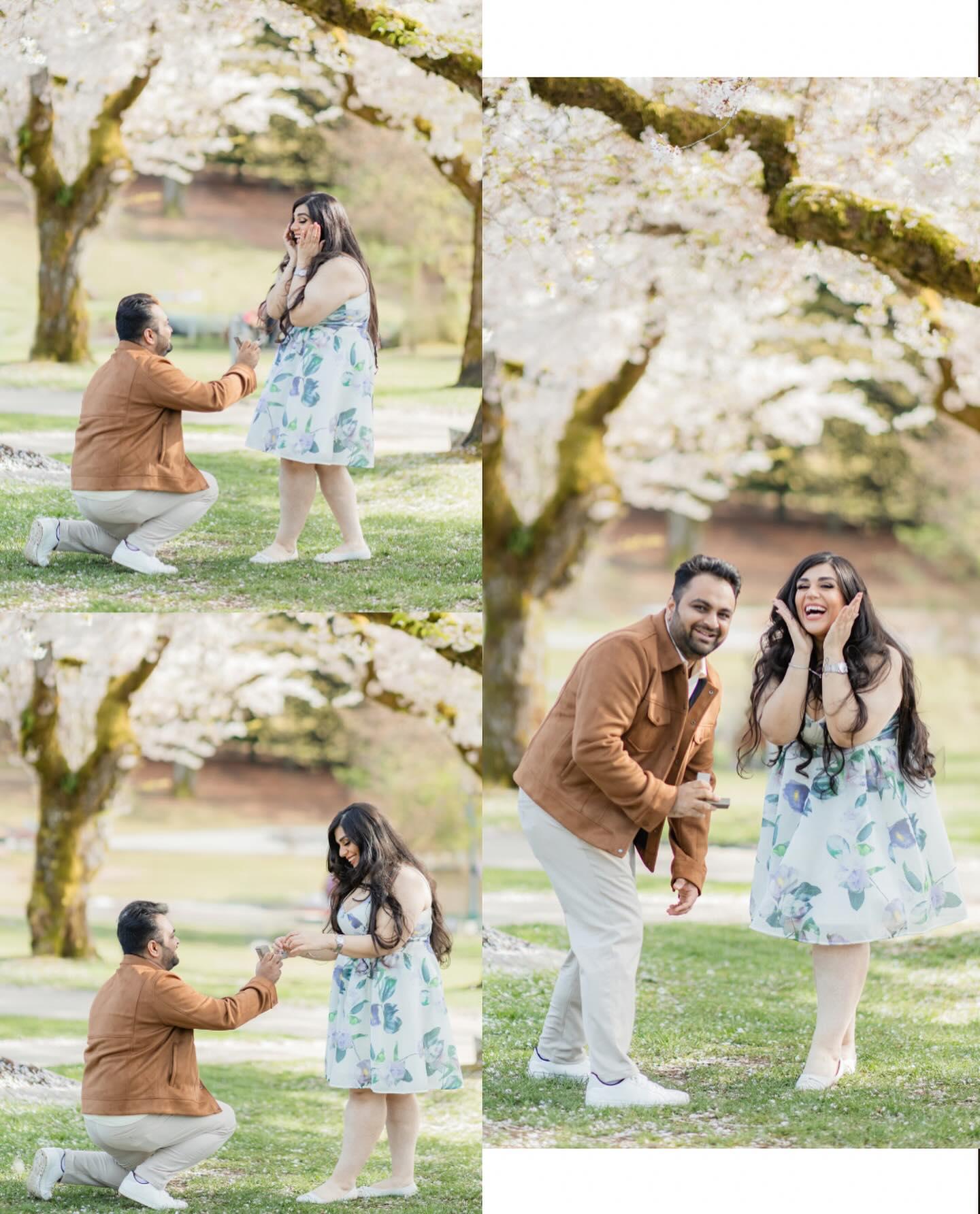 Cherry Blossoms and Love: A Magical Family Mini-Session in Vancouver