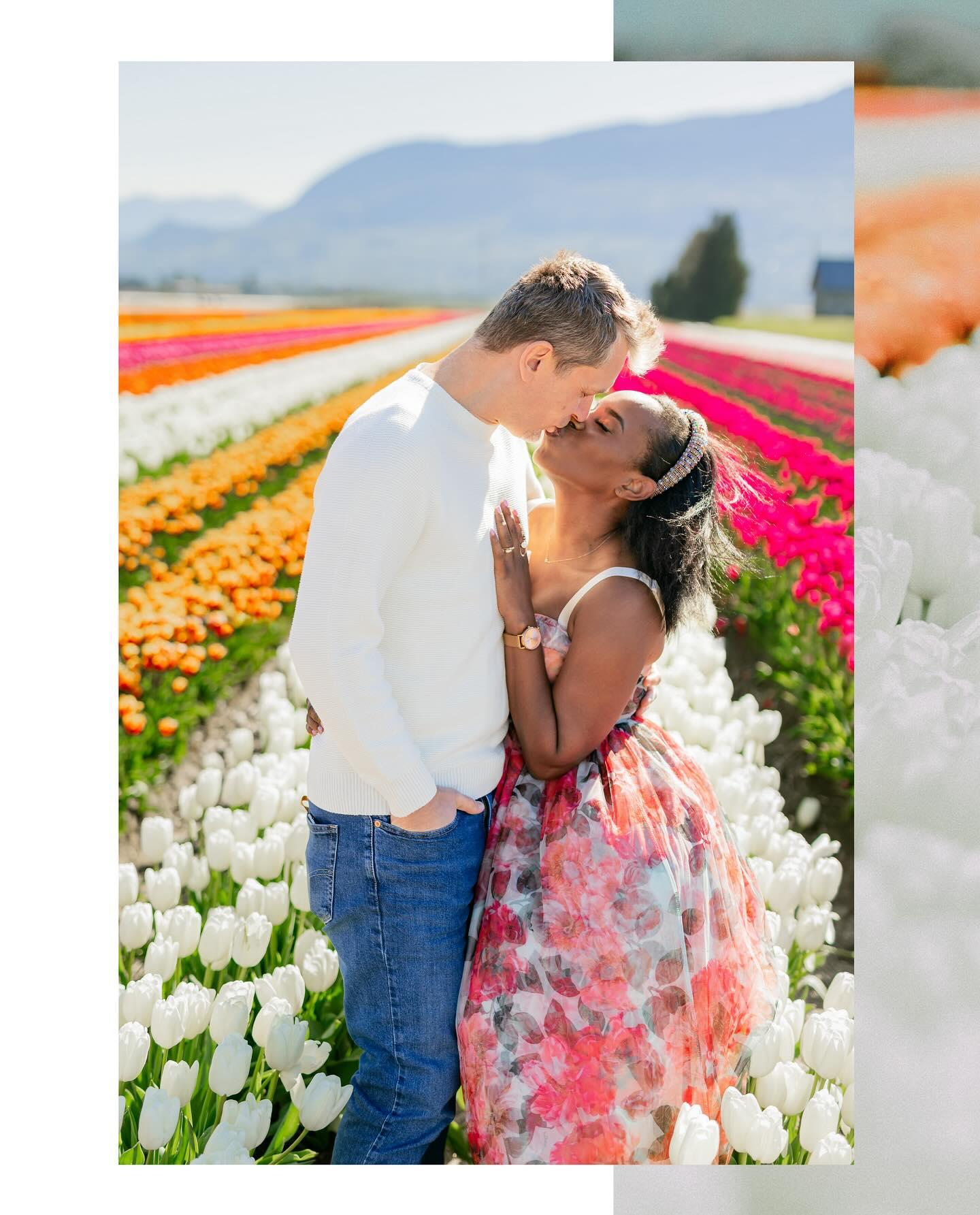 The Magic of Wedding Photography: A Love Story Amidst The Tulips